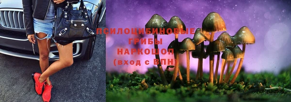 прущие крисы Осинники